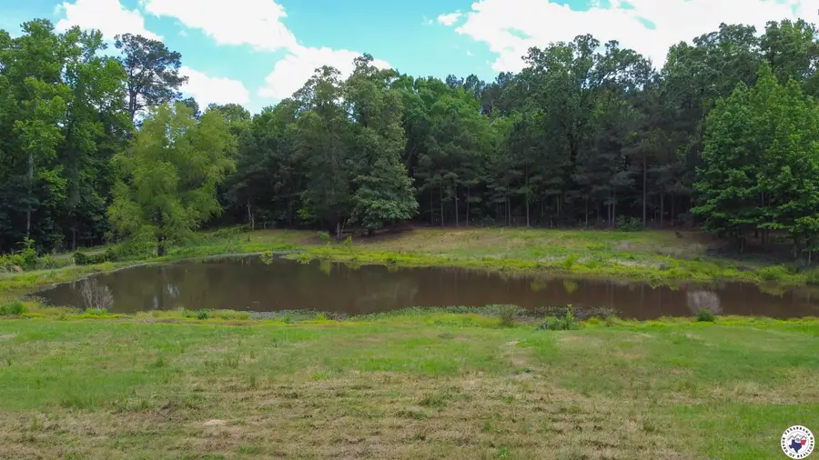 3388 County Road 4223, Bivins, TX 75555 - Image #3