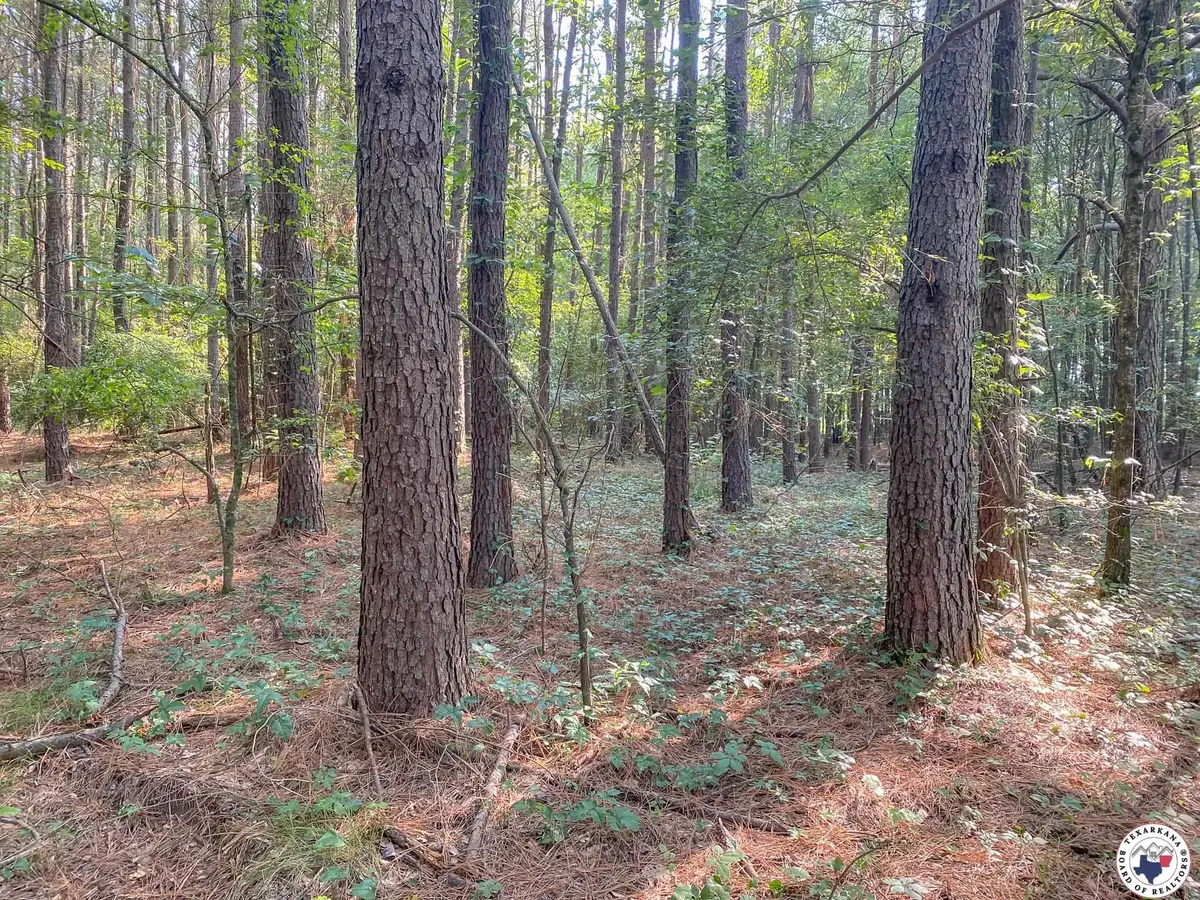 14.49+/- Fm 990, De Kalb, TX 75559 - Image #1