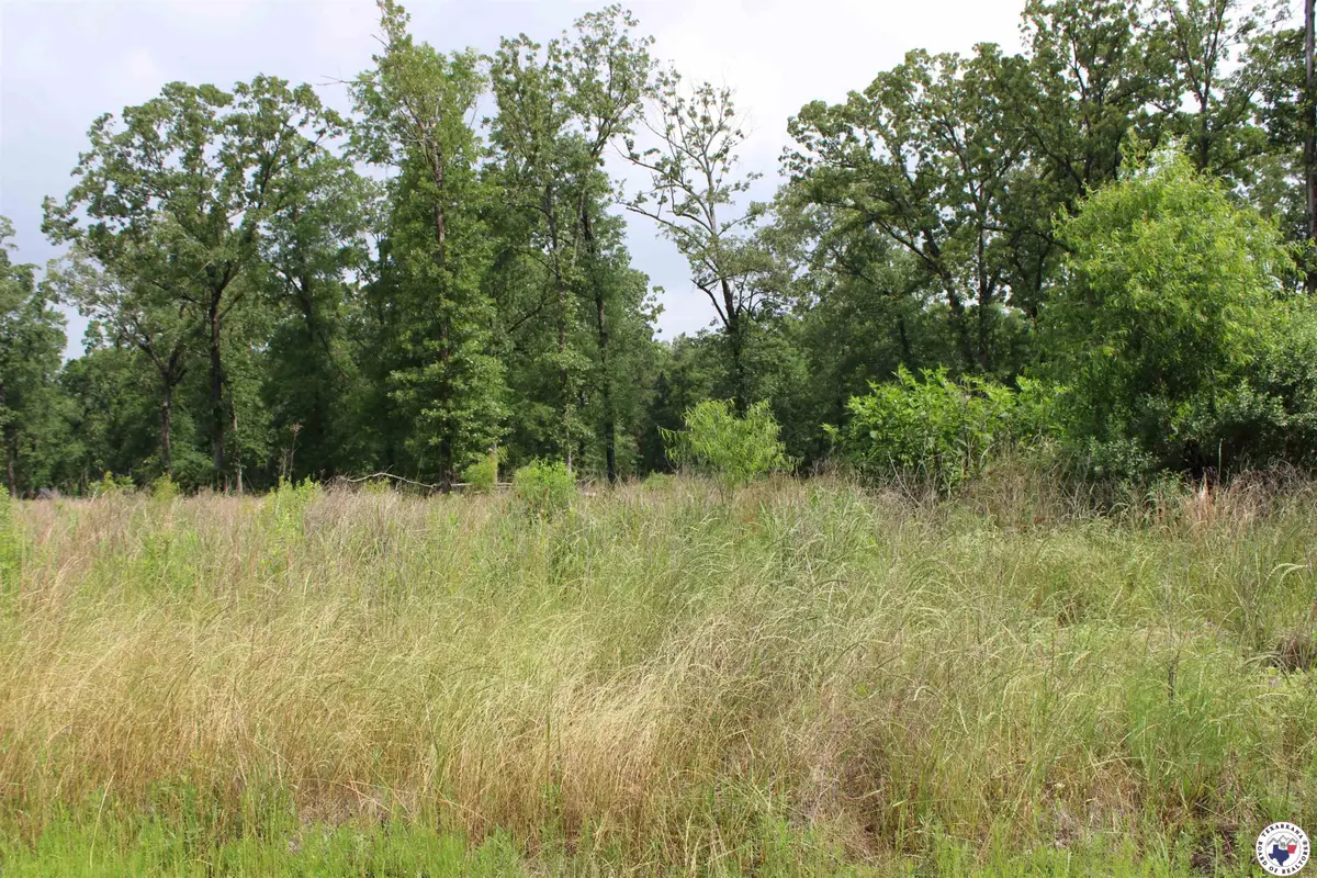 60 Akin Oak Dr., Texarkana, TX 75503 - #1