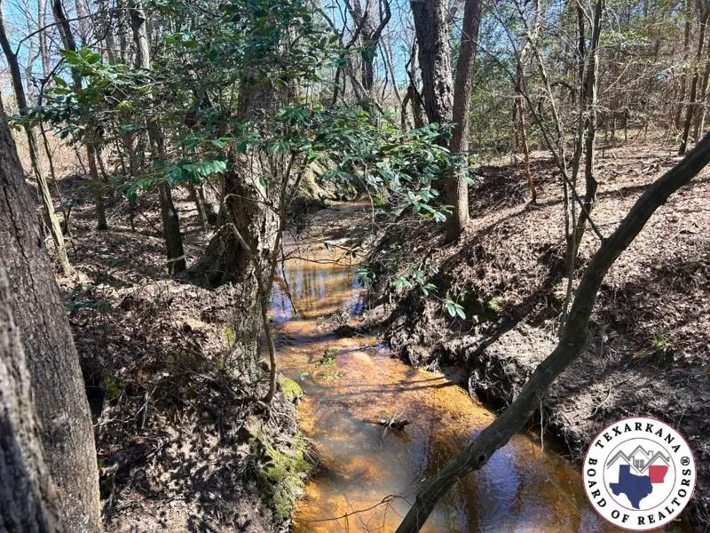 42.24 ac Cr 1456, Linden, TX 75563 - #2