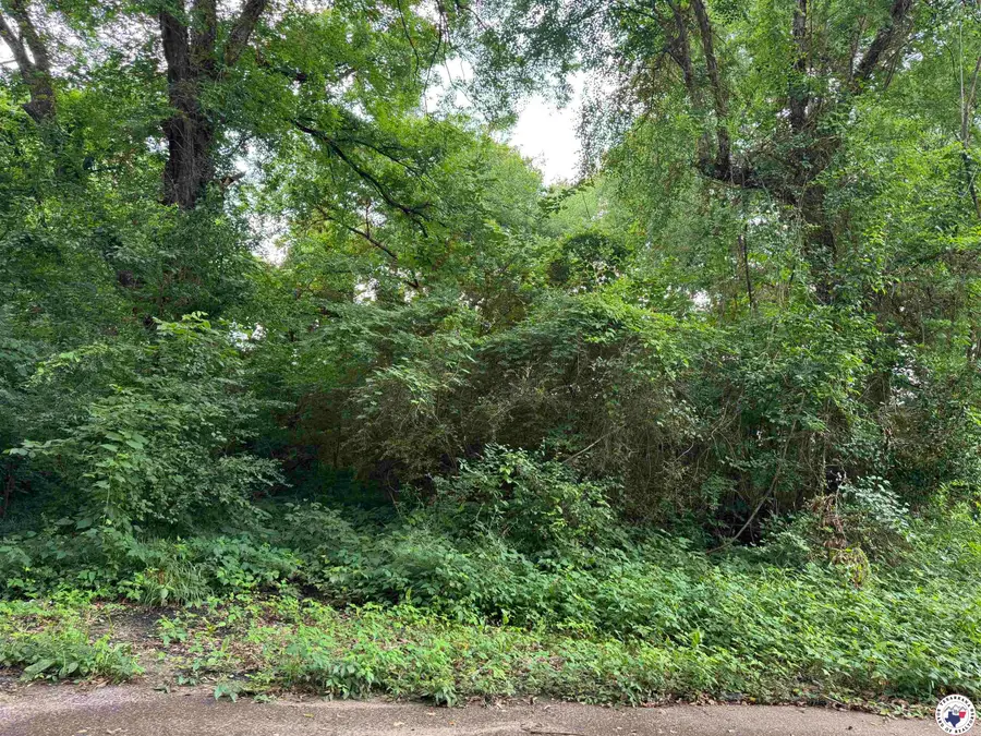 403 Griffin, Texarkana, TX 75501 - Image #2