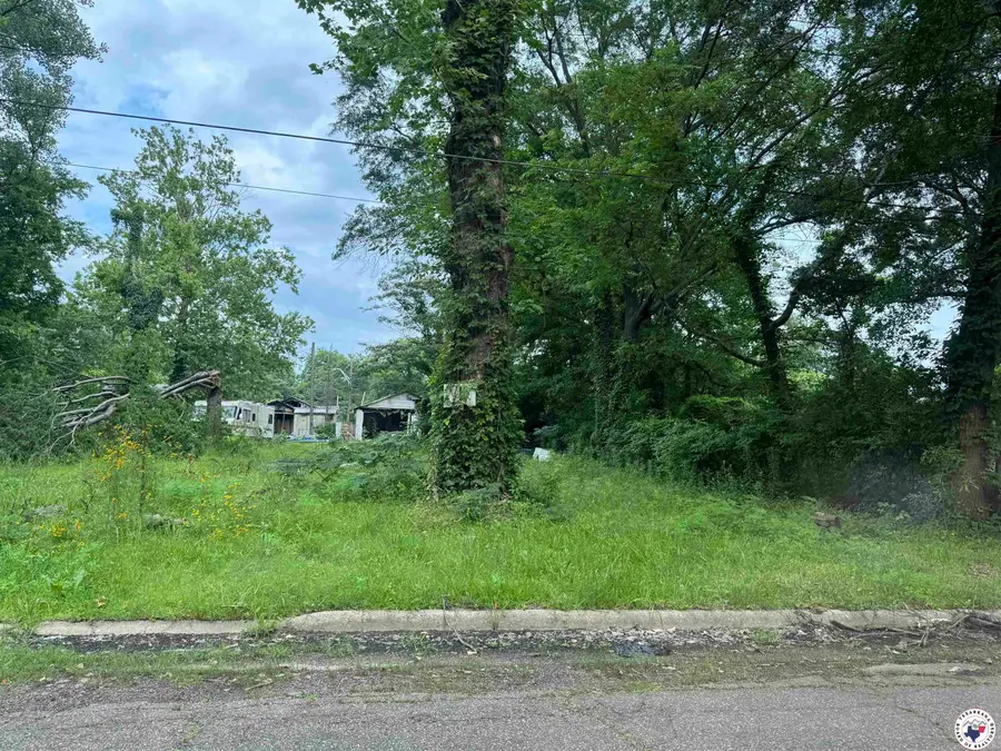 917 Capp, Texarkana, TX 75501 - Image #2