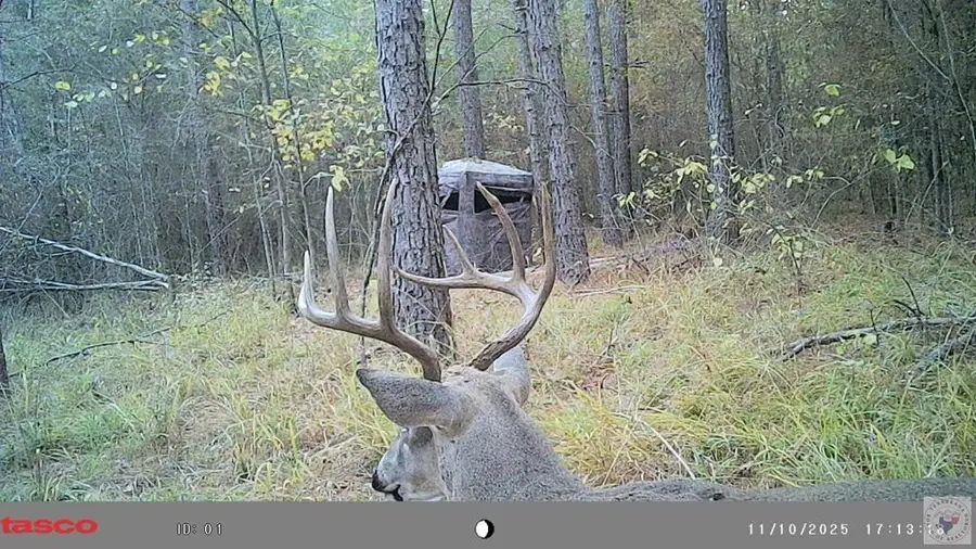 19 ac New Dora Rd, Haworth, OK 74740 - Image #2