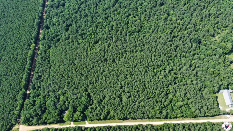 19 ac New Dora Rd, Haworth, OK 74740 - Image #3