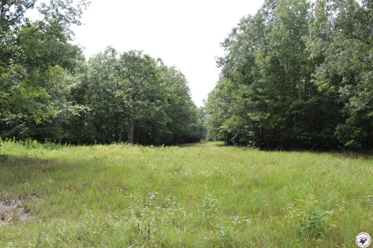 TBD Cr 4670, Annona Avery, TX 75559 - Image #1