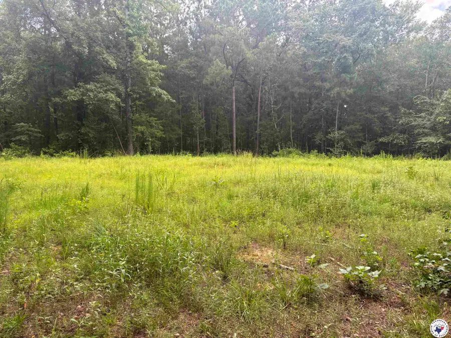 TBD CR 3 Fm 3129 -8, Queen City, TX 75572 - Image #2