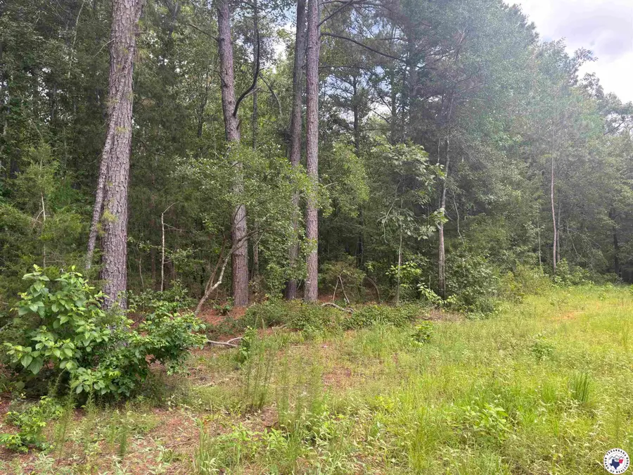 TBD CR 3 Fm 3129 -8, Queen City, TX 75572 - Image #3