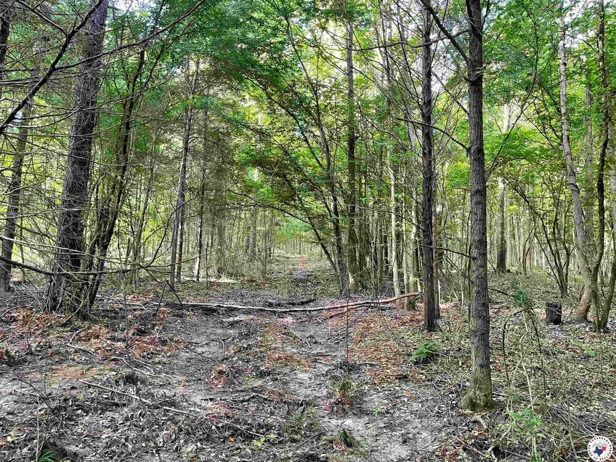 TBD Fm 2683, Jefferson, TX 75657 - Image #1