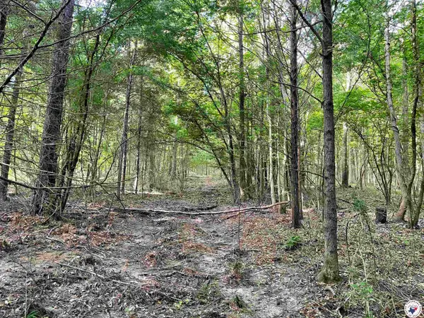 TBD Fm 2683, Jefferson, TX 75657