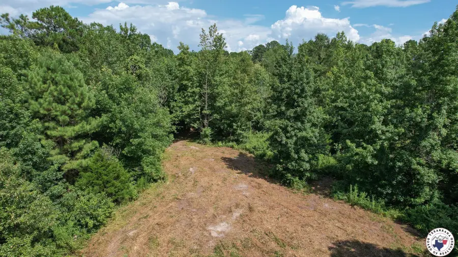 TBD County Road 3214, Atlanta, TX 75551 - Image #3