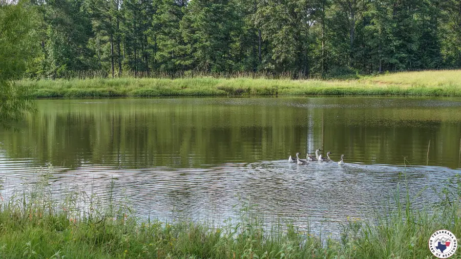 1050 Cr 2618, Marietta, TX 75566 - Image #2