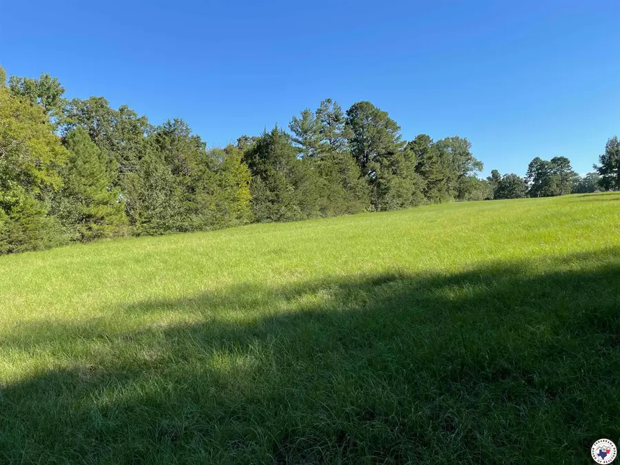 821 Tri State Road, Texarkana, TX 75501 - Image #3