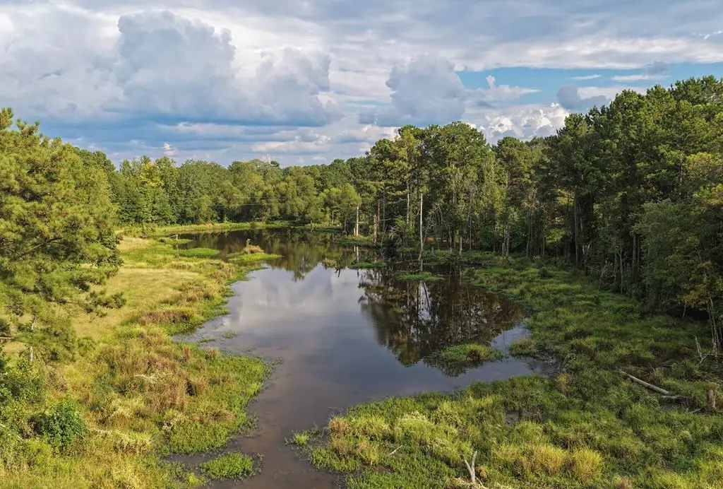 TBD Cr 1110, Maud, TX 75567 - Image #1