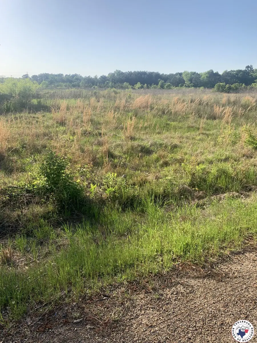 4.94 Acr Mount Olive, Texarkana, AR 71854 - Image #3