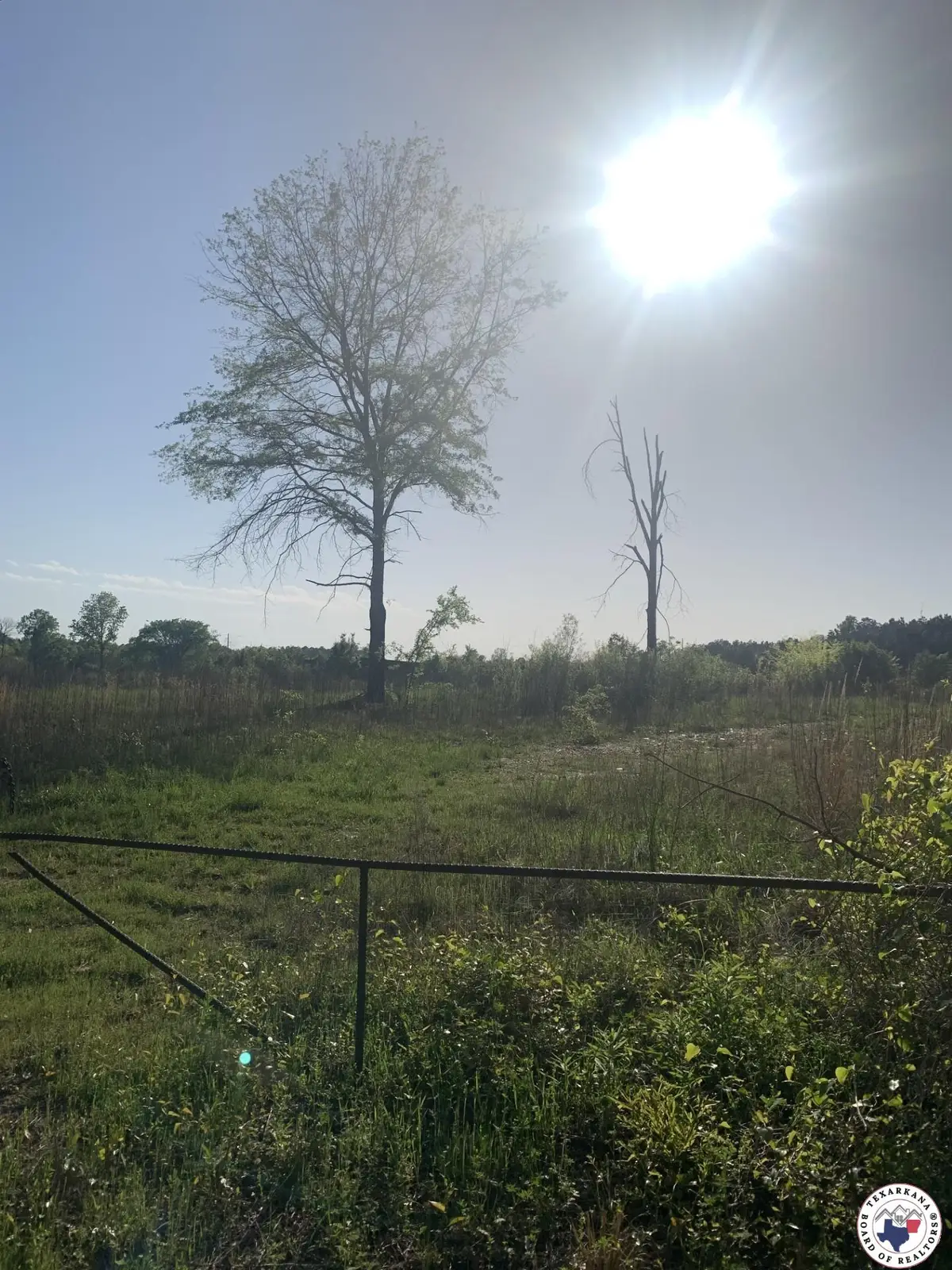 4.94 Acr Mount Olive, Texarkana, AR 71854 - Image #1