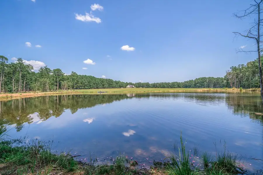 481 CR 4230, Atlanta, TX 75551 - Image #3