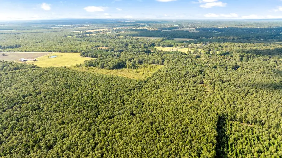 0 County Road 4223, Simms, TX 75574 - Image #3