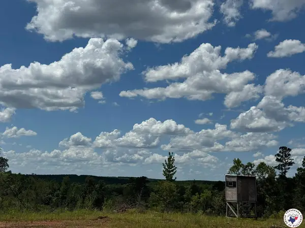 Tbd Cr 1606, Linden, TX 75563