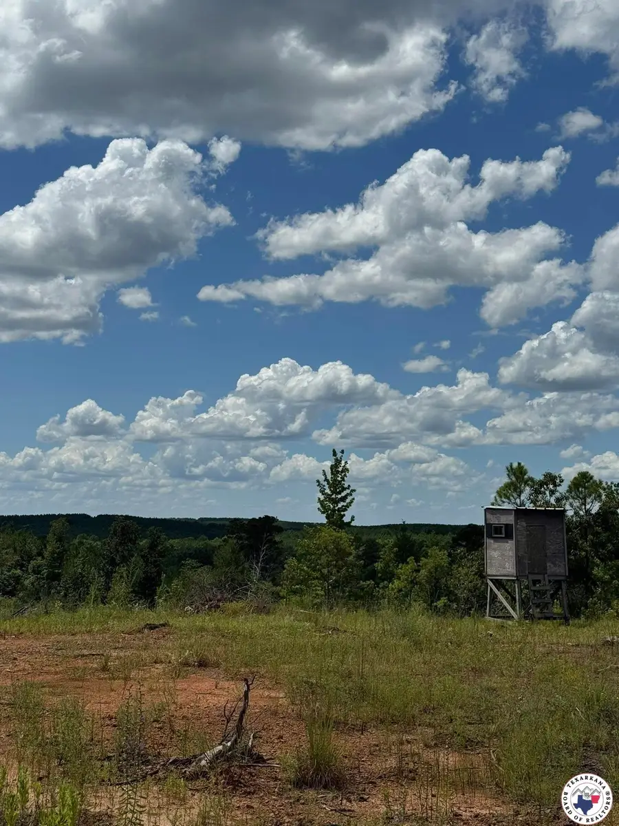 Tbd Cr 1606, Linden, TX 75563 - Image #2