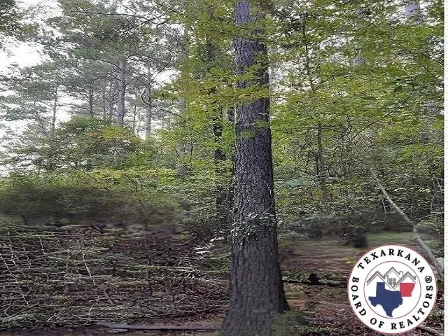 0 Mc 285, Texarkana, AR 71854 - Image #1