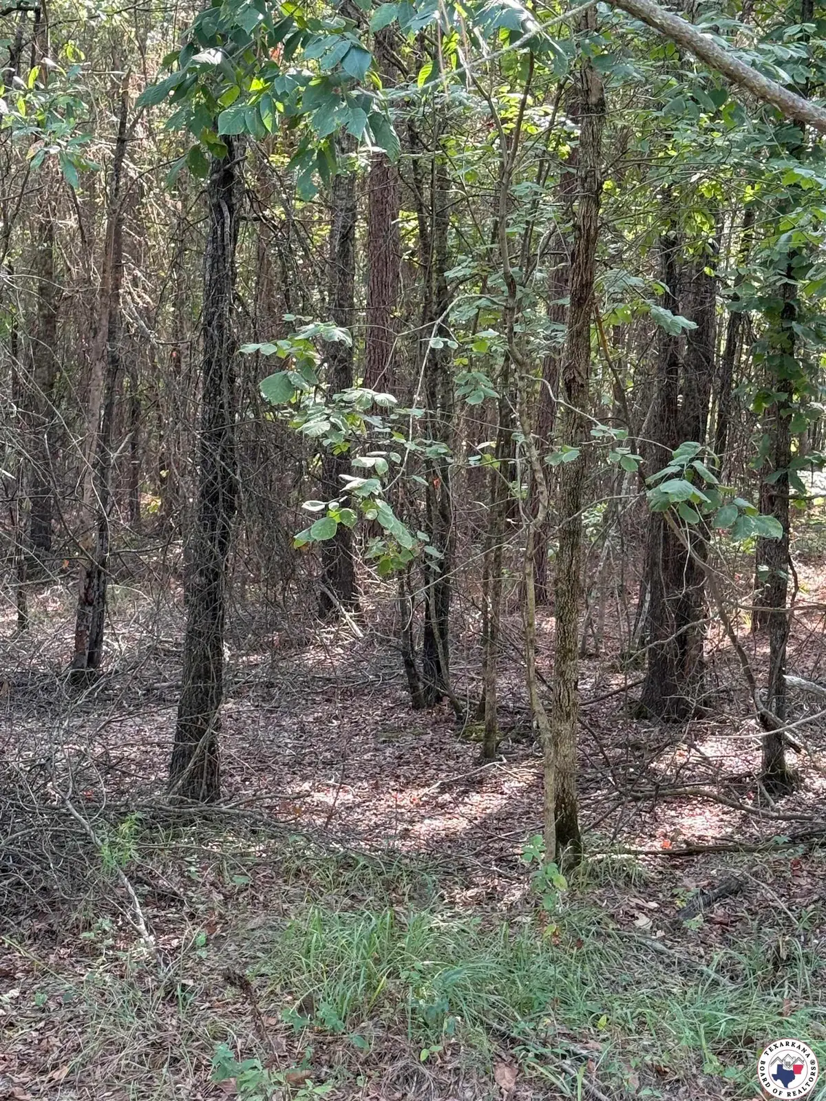 TBD    T Pr 1064, Fouke, AR 71837 - Image #1