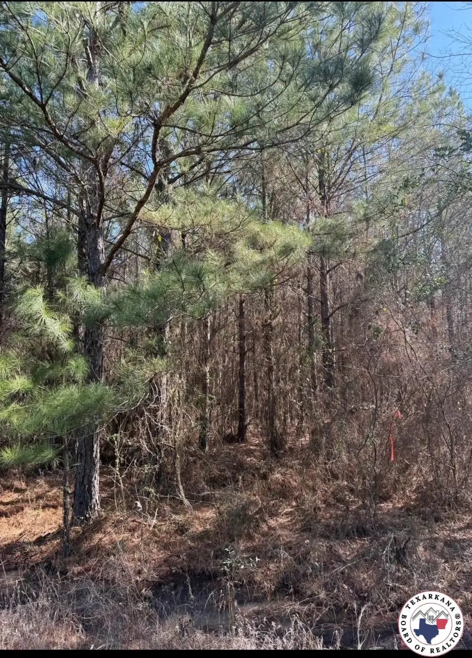 TBD  T 3 Pr 1064, Fouke, AR 71837 - Image #1