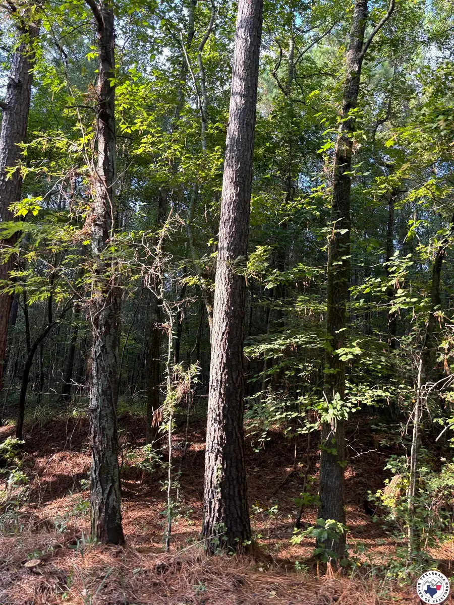 TBD Cr 2514, Naples, TX 75568 - Image #2