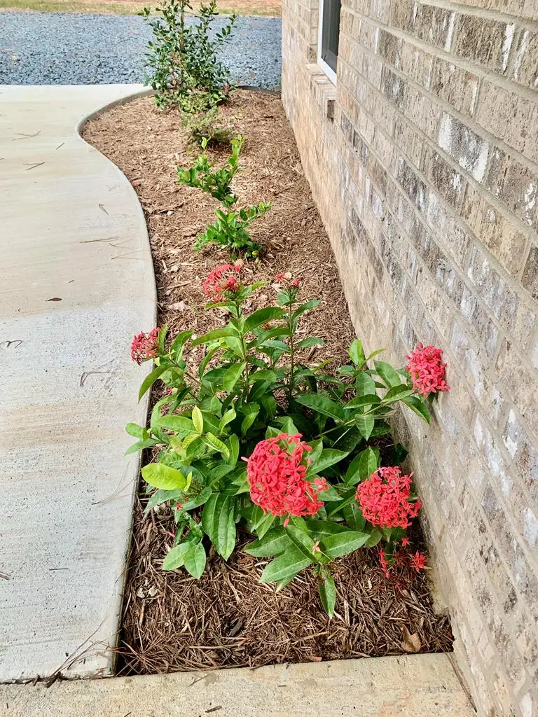 233 Cr 4793, Atlanta, TX 75551 - Image #3