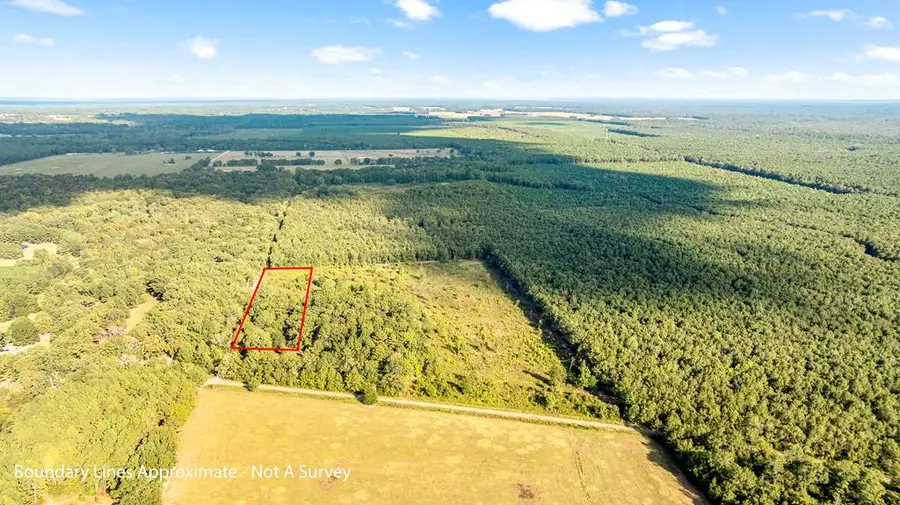 TBD County Road 4153, Simms, TX 75754 - Image #2