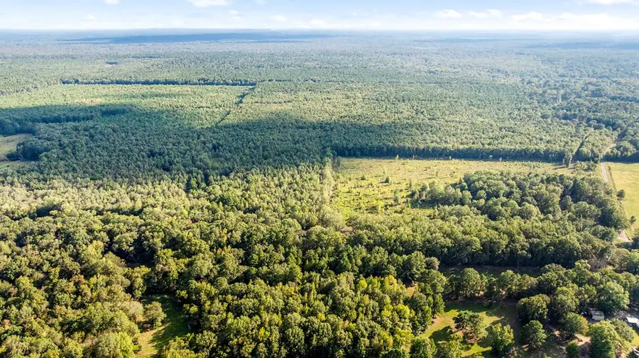 1155 County Road 4153, Simms, TX 75574 - Image #2