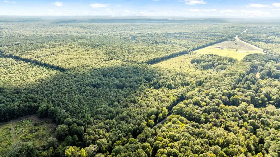 1155 County Road 4153, Simms, TX 75574 - Image #3