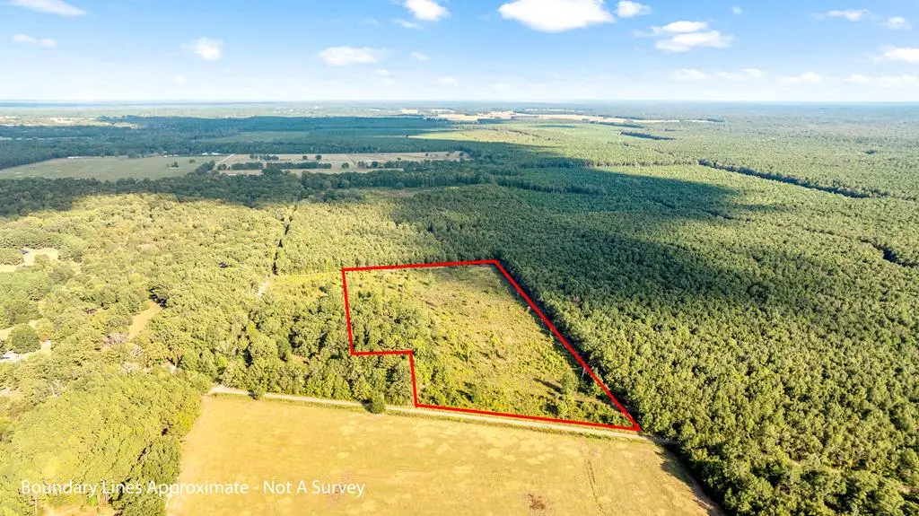 0 (TBD) County Road 4223, Simms, TX 75574 - Image #1