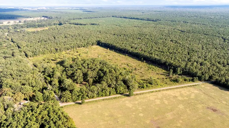 0 (TBD) County Road 4223, Simms, TX 75574 - Image #3