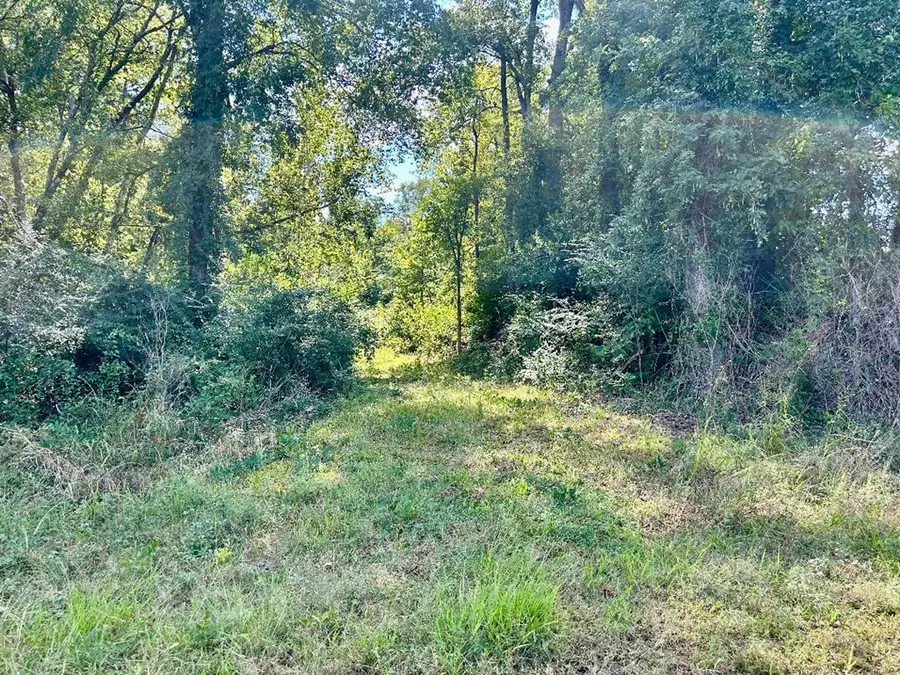 TBD E Third St, Atlanta, TX 75551 - Image #2