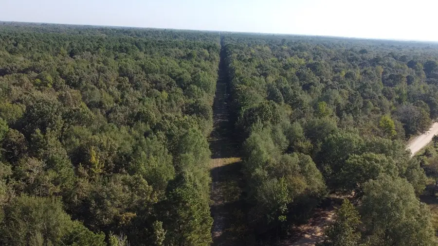 0 Cr 4251, De Kalb, TX 75559 - Image #3