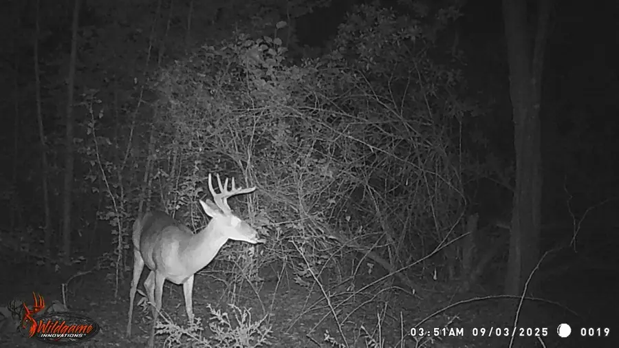 0 Cr 4251, De Kalb, TX 75559 - Image #2