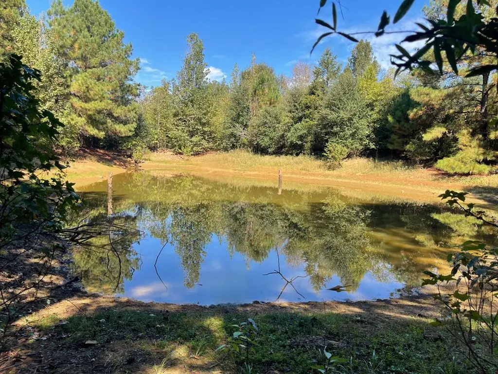 CR 1811 Tbd, Linden, TX 75563 - Image #1