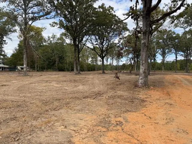 TBD Hwy 53, Taylor, AR 71861 - #1