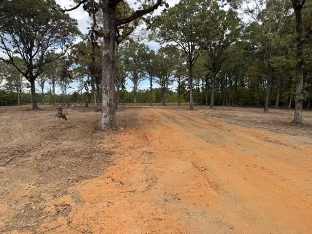 TBD Hwy 53, Taylor, AR 71861 - #2