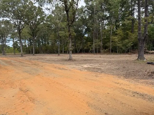 TBD Hwy 53, Taylor, AR 71861 - #3