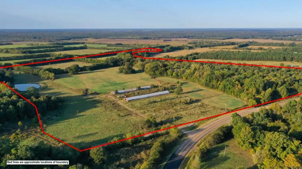 258 Wilson Creek Road, Lockesburg, AR 71846 - Image #1