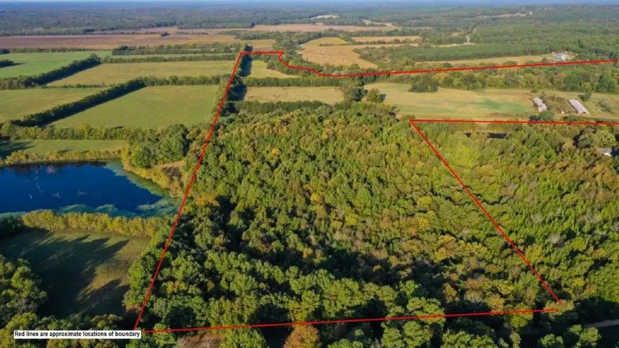 258 Wilson Creek Road, Lockesburg, AR 71846 - Image #2