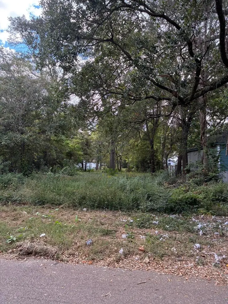 1517 W 10th, Texarkana, TX 75501 - Image #1