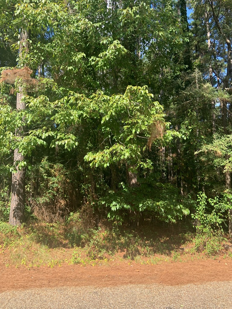 0 S Lakeshore Dr, Texarkana, TX 75501 - Image #2