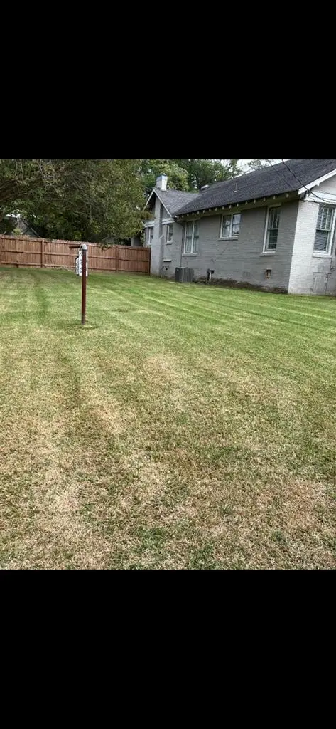 2403 Magnolia, Texarkana, TX 75503 - #3