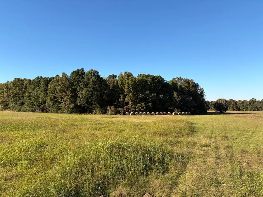 TBD Redcut Rd, Fouke, AR 71837 - Image #2