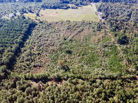 0 Little River 43, Ashdown, AR 71822 - Image #2