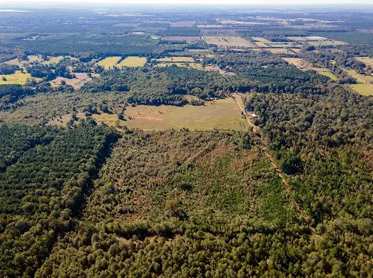 0 Little River 43, Ashdown, AR 71822 - Image #3