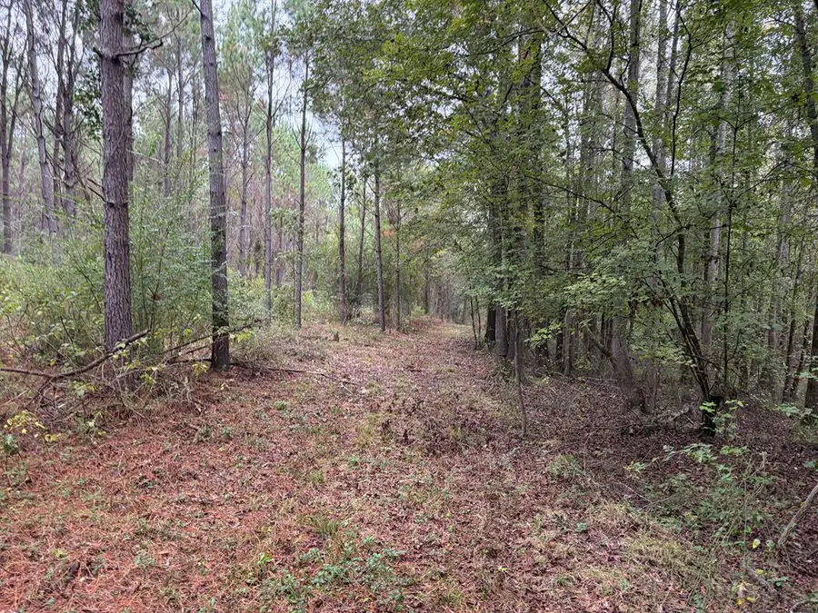 CR 2912 Cr 2912, Hughes Springs, TX 75656 - Image #3