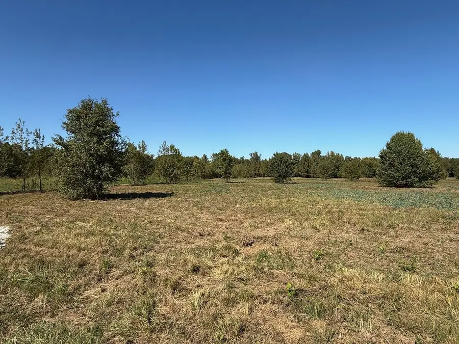 TBD Deerfield Lane, New Boston, TX 75570 - Image #2